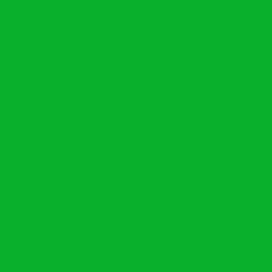 Bresser Bresser Sbp10 Paper Background Roll 3,56 X 15M Chromakey Green Wholesale