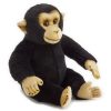 Bresser National Geographic Plush-Toy Chimpanzee Hot