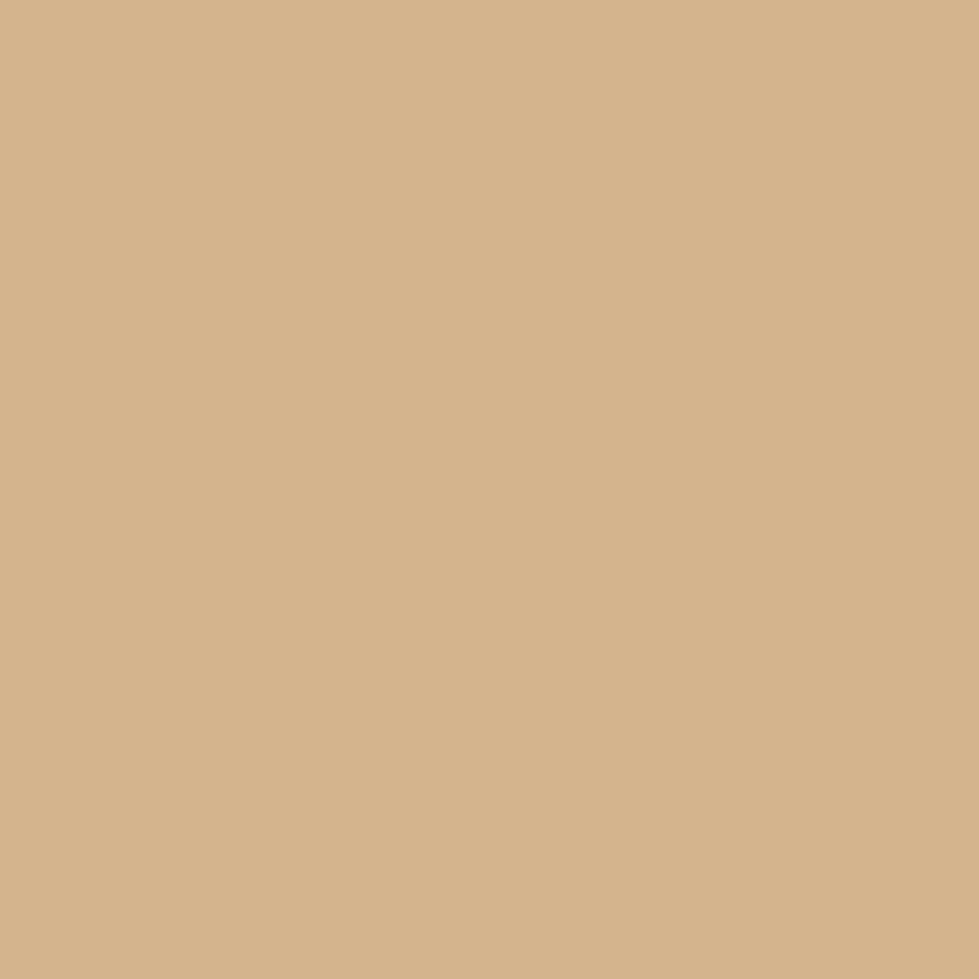 Bresser Bresser Sbp15 Paper Background Roll 2,00 X 11M Beige Online